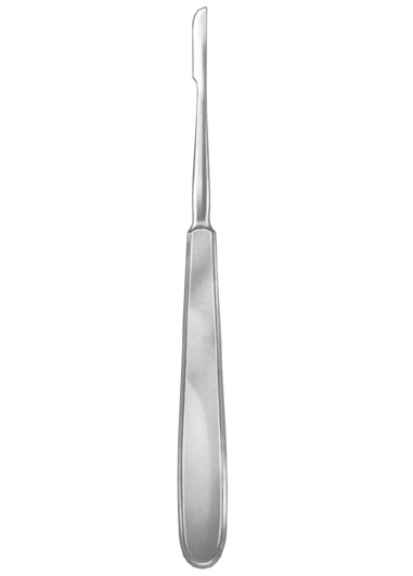 AMI-DM-1381