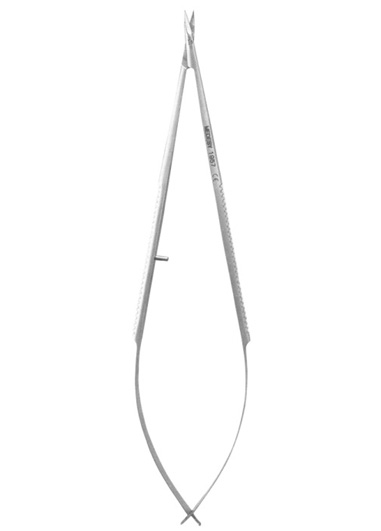 AMI-DM-2586