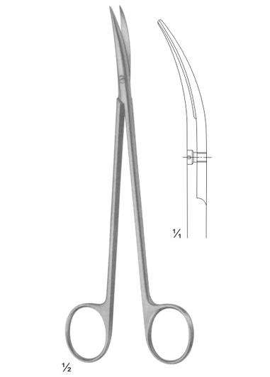 AMI-DM-2613