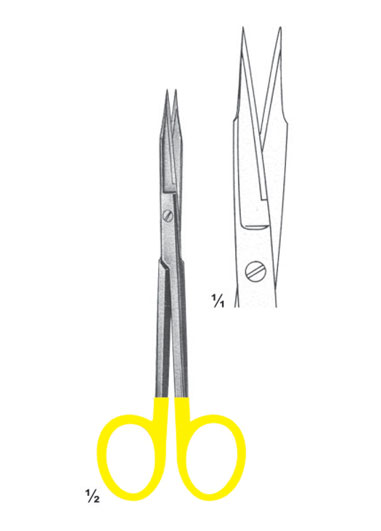 AMI-DM-2831