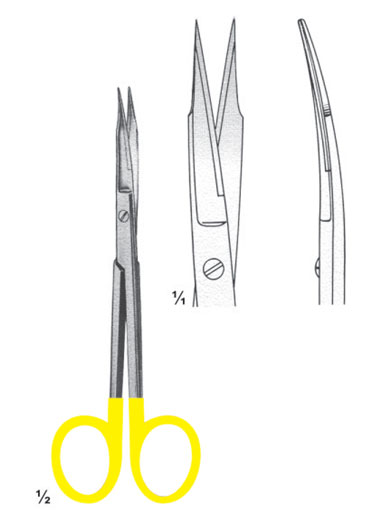 AMI-DM-2833