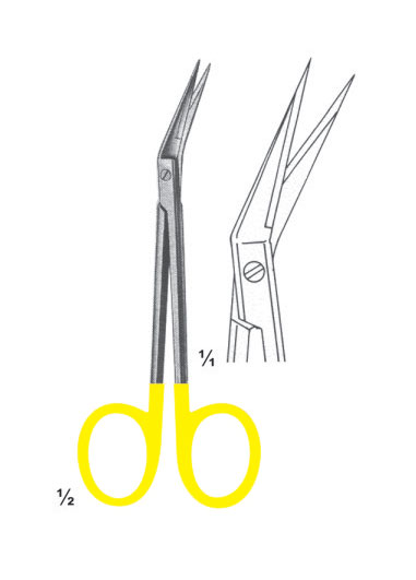 AMI-DM-2835