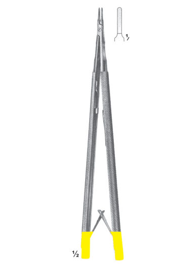 AMI-DM-2856